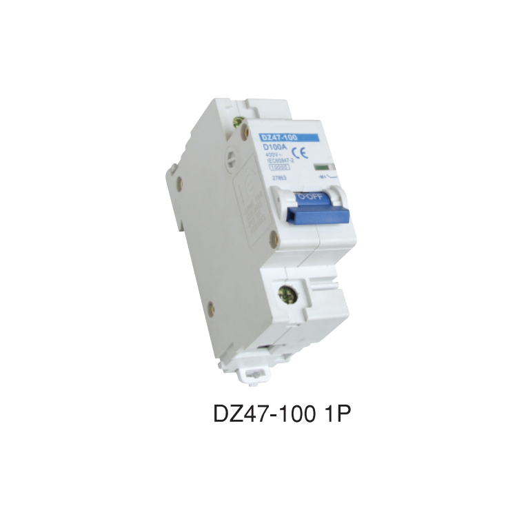 DZ47-100 Miniature Circuit Breaker