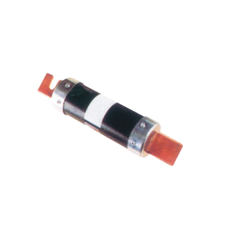 R020 Round cartridge Non-filler renewable fuse links