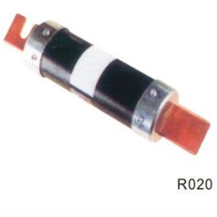 R019 R020 Series fuse