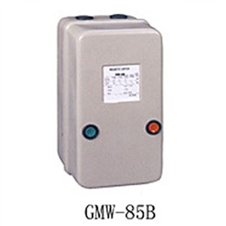 VMW(GMW) Magnetic Force Starter